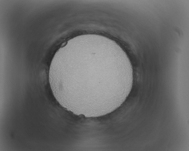 X0000116461493200912291957