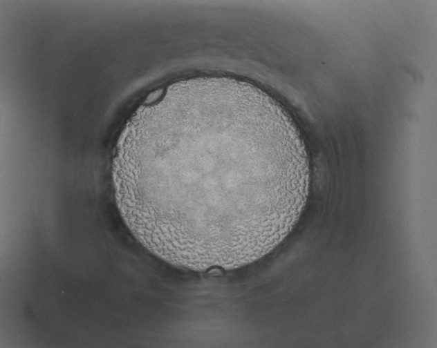 X0000116461494200912291957