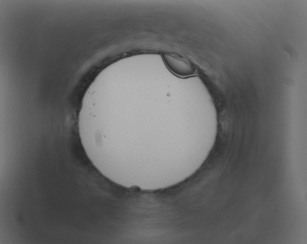 X0000116461495200912291957