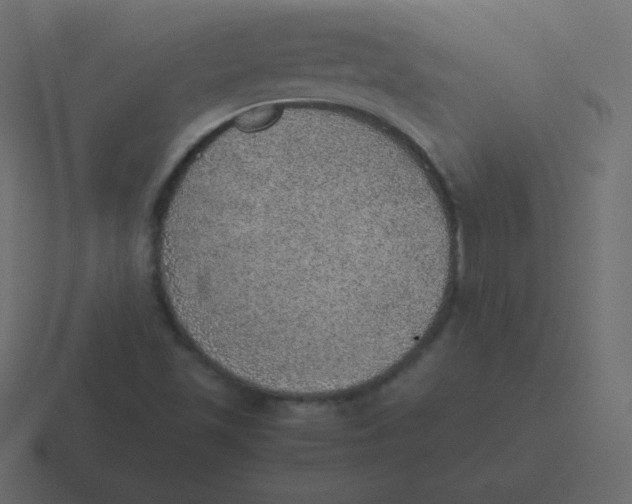 X0000116461501200912291957