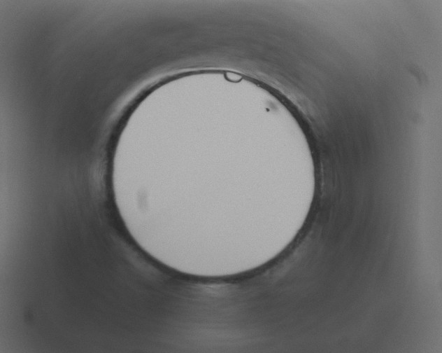 X0000116461502200912291957