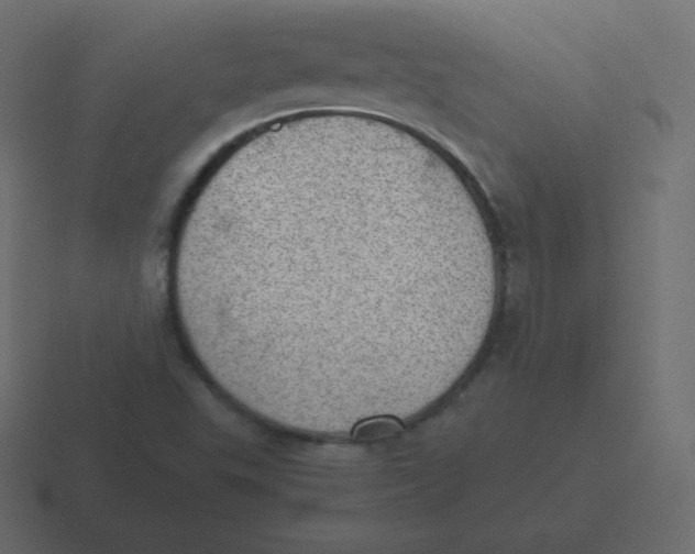 X0000116461503200912291957