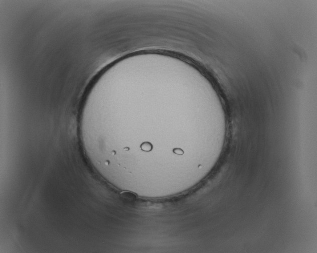 X0000116461505200912291957