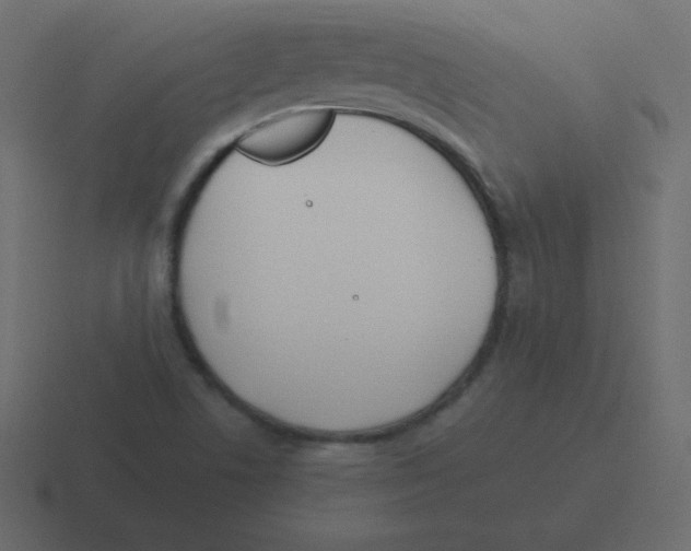 X0000116461506200912291957