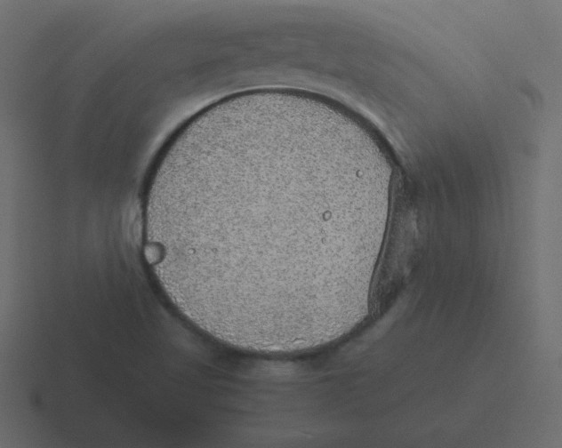 X0000116461509200912291957