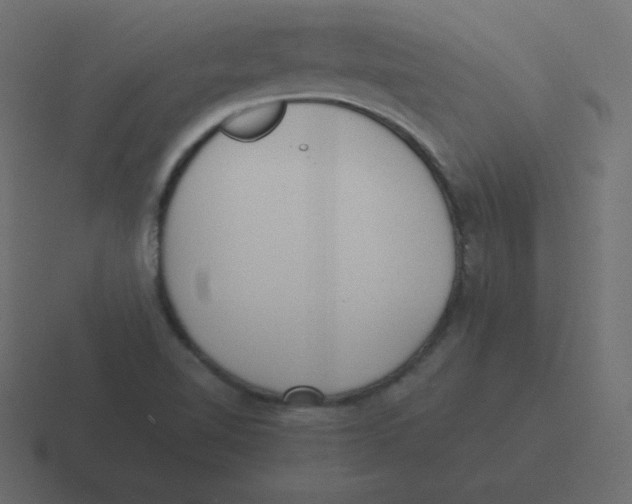 X0000116461510200912291957