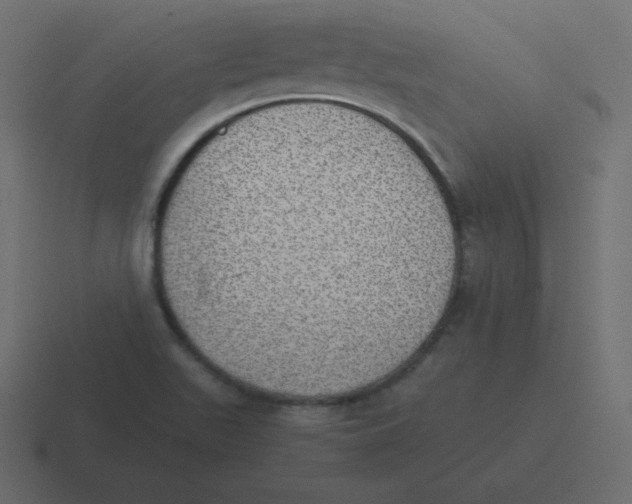 X0000116461511200912291957