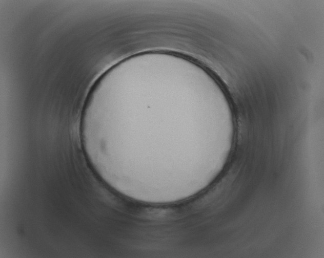 X0000116461513200912291957