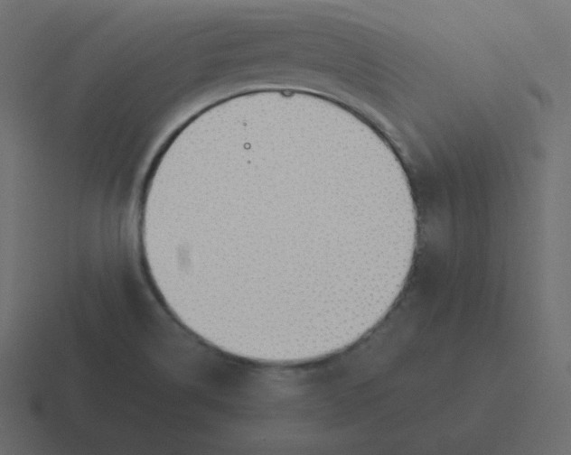 X0000116461514200912291957