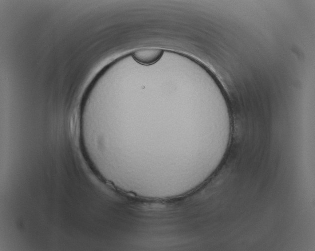 X0000116461515200912291957