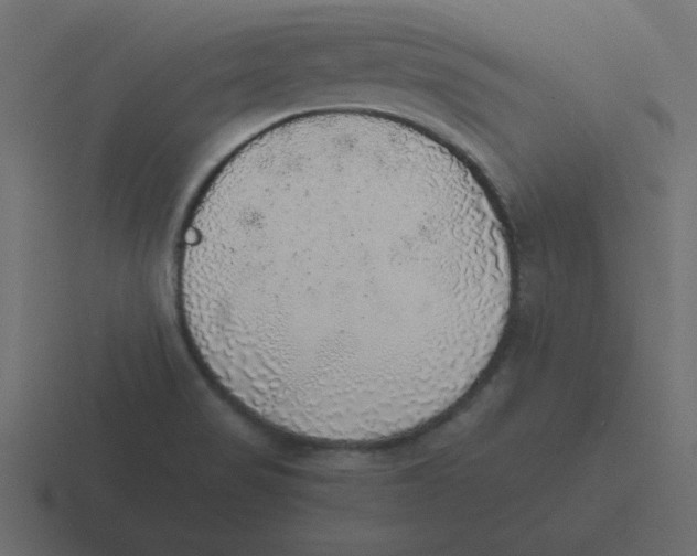 X0000116461517200912291957