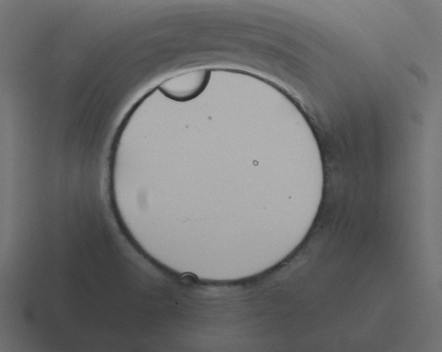 X0000116461518200912291957