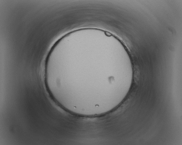 X0000116461519200912291957