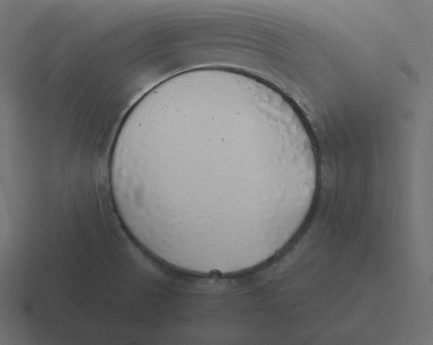 X0000116461521200912291957