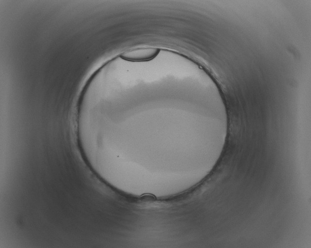 X0000116461522200912291957