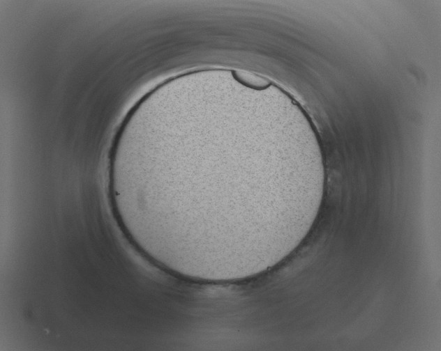 X0000116461523200912291957