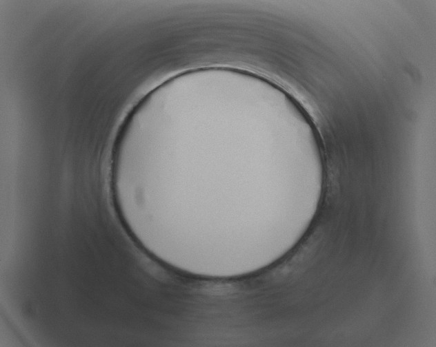 X0000116461525200912291957