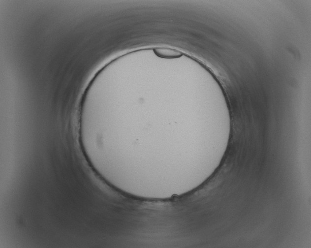 X0000116461526200912291957