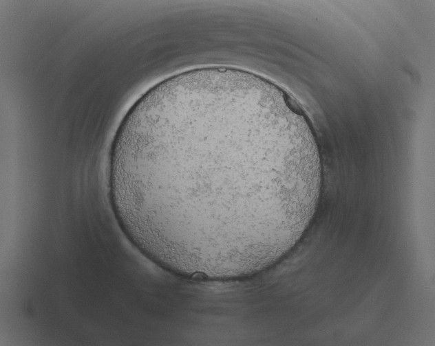 X0000116461527200912291957