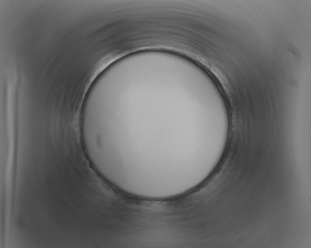 X0000116461529200912291957