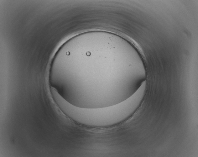 X0000116461530200912291957