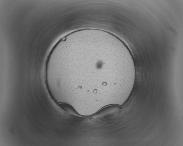 X0000116461531200912291957