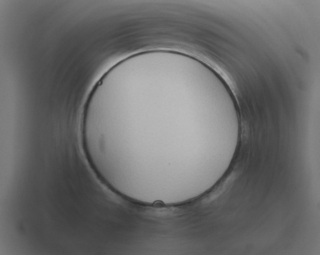 X0000116461533200912291957