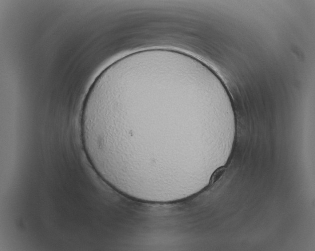 X0000116461534200912291957