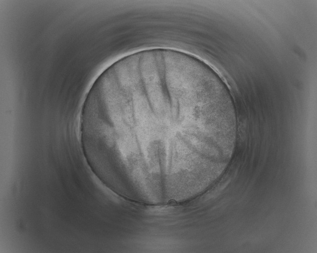 X0000116461535200912291957