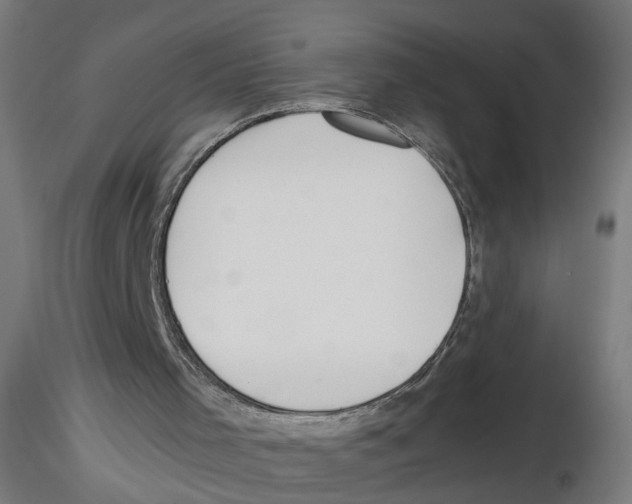 X0000116460001201001061048