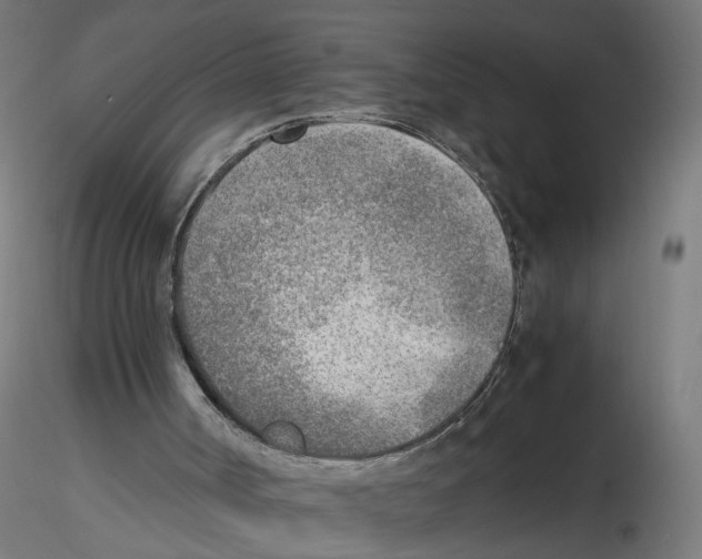 X0000116460002201001061048
