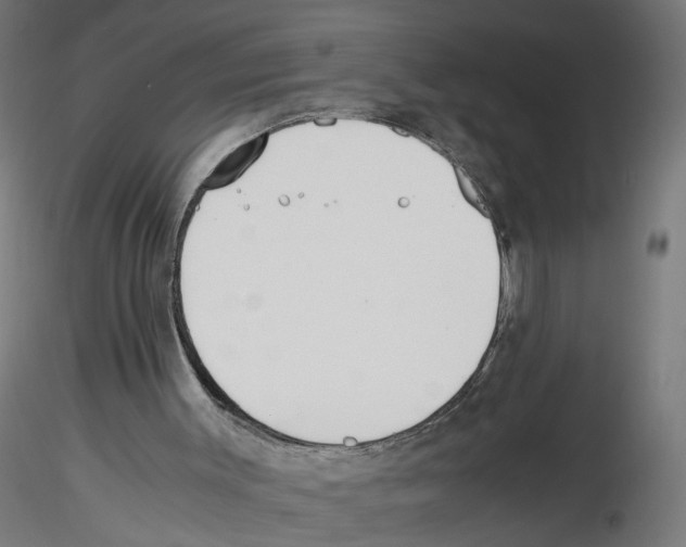 X0000116460003201001061048