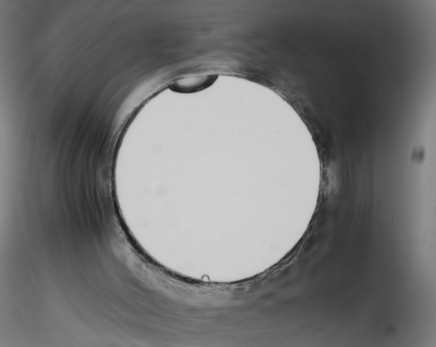 X0000116460004201001061048