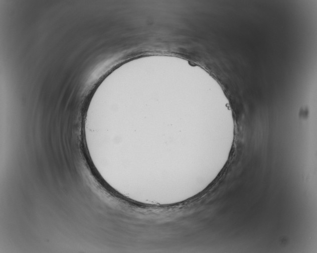 X0000116460005201001061048