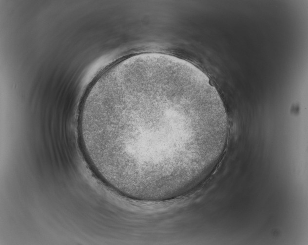 X0000116460006201001061048