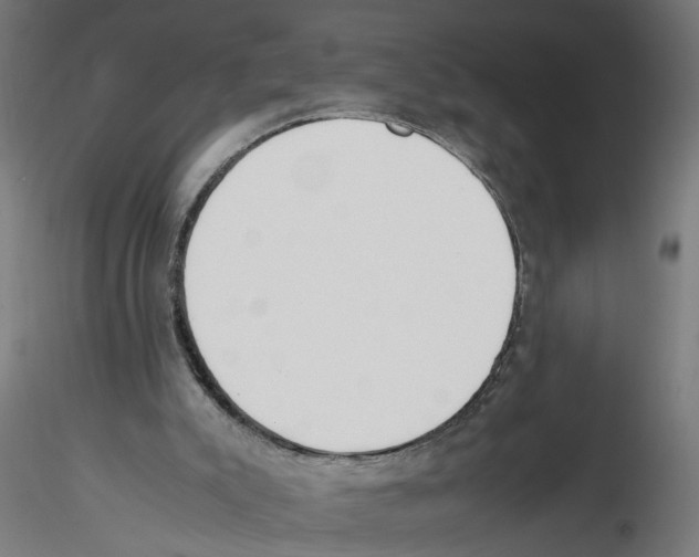 X0000116460007201001061048