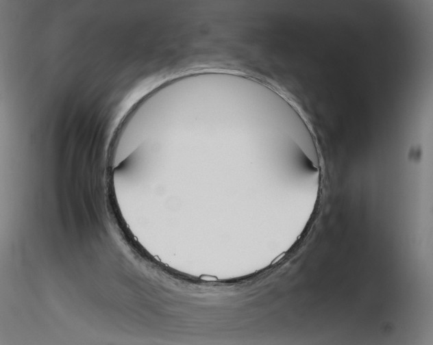 X0000116460008201001061048