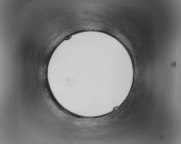 X0000116460009201001061048