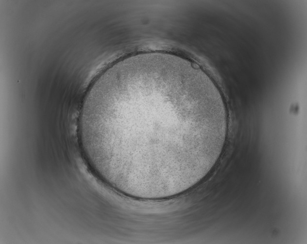 X0000116460010201001061048