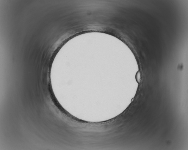 X0000116460011201001061048