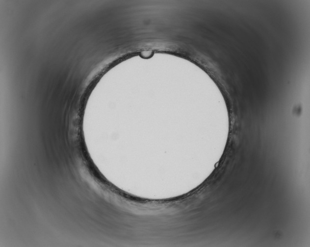 X0000116460012201001061048