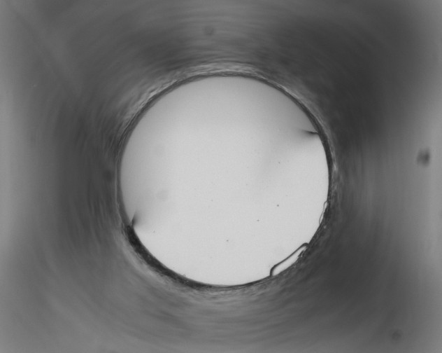 X0000116460013201001061048