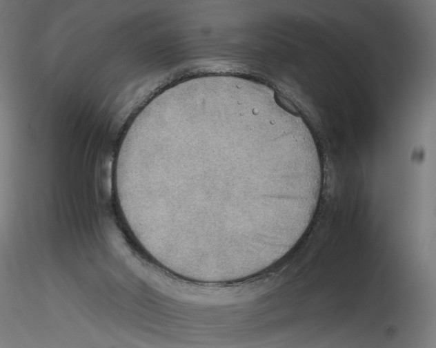 X0000116460014201001061048