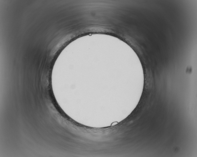 X0000116460015201001061048