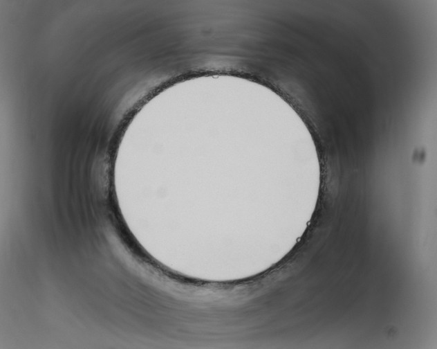 X0000116460016201001061048