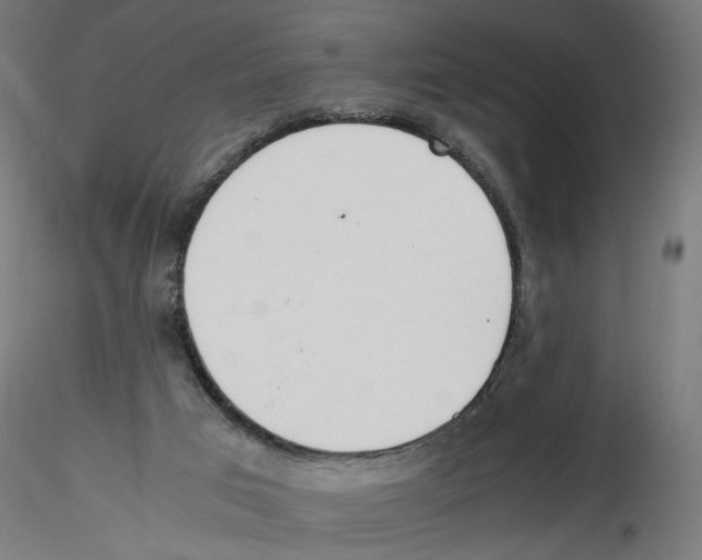 X0000116460017201001061048