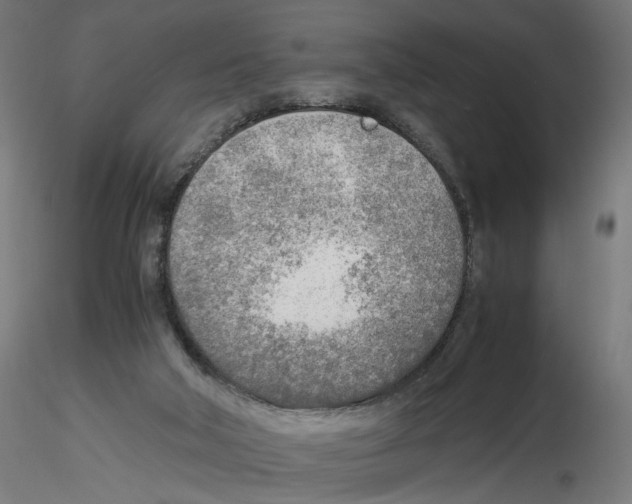 X0000116460018201001061048