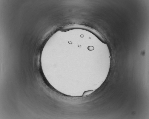 X0000116460019201001061048