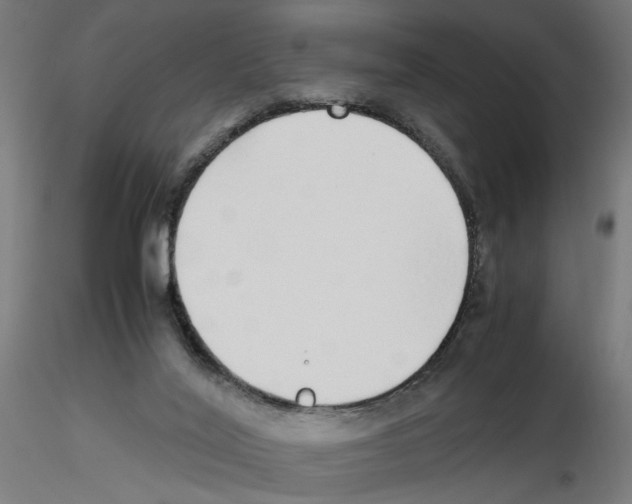X0000116460020201001061048