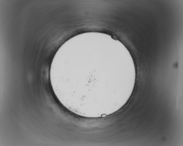 X0000116460021201001061048
